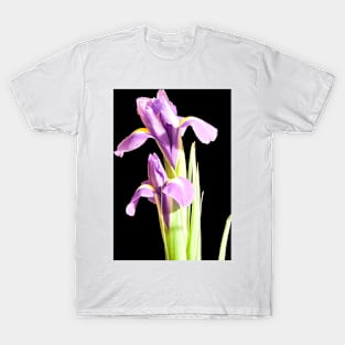 Purple Iris closeup T-Shirt